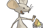 Grey_mouse